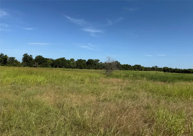 Homes for sale in Leonard, TX | Tract 2 County Road 5045, Leonard, TX 75452 | MLS# 21007103
