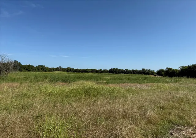 Homes for sale in Leonard, TX | Tract 2 County Road 5045, Leonard, TX 75452 | MLS# 21007103