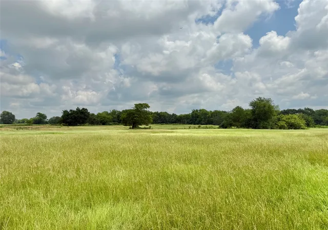 Photo 3 of Land for sale at 0000 County Road 2321, Sulphur Springs, TX 75482 | MLS# 21007279 | Listing updated on 2026-08-22