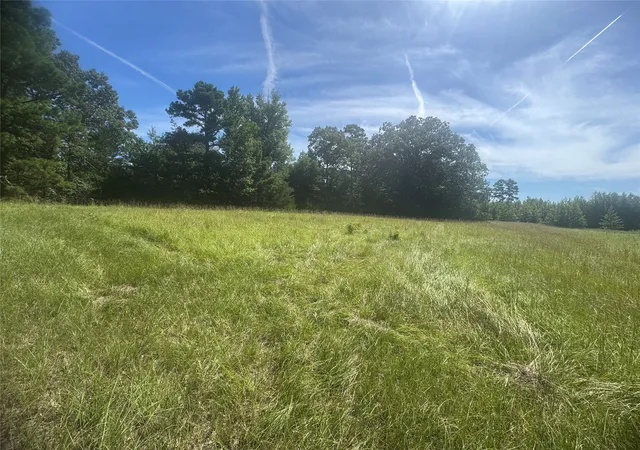 Photo 1 of Land for sale at 30618 Ac Cr 4426, Winnsboro, TX 75494 | MLS# 21008636 | Listing updated on 2026-07-08