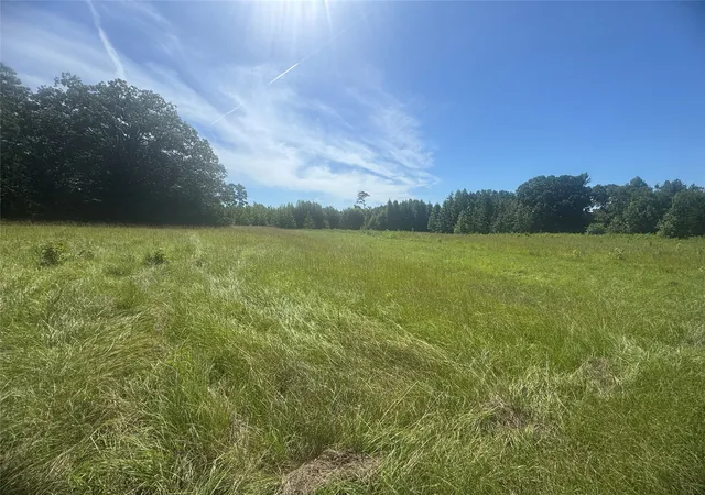 Photo 2 of Land for sale at 30618 Ac Cr 4426, Winnsboro, TX 75494 | MLS# 21008636 | Listing updated on 2026-07-08
