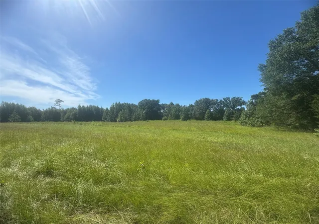 Photo 3 of Land for sale at 30618 Ac Cr 4426, Winnsboro, TX 75494 | MLS# 21008636 | Listing updated on 2026-07-08