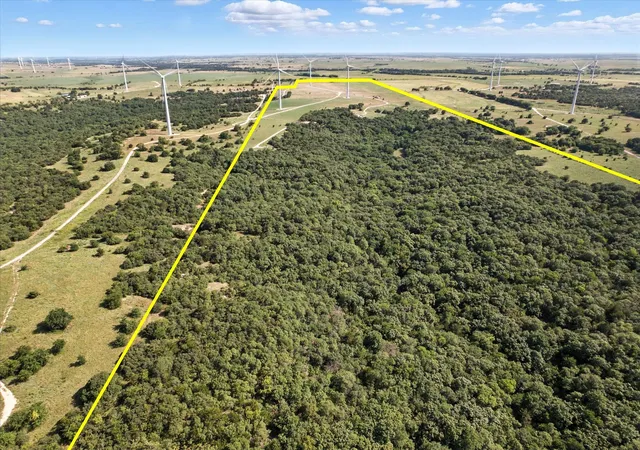 Homes for sale in Muenster, TX | 3207 County Road 431, Muenster, TX 76252 | MLS# 21009605