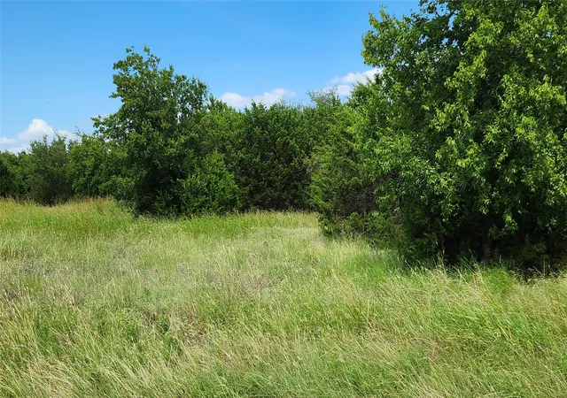 Homes for sale in China Spring, TX | Tbd Cr 3570, China Spring, TX 76633 | MLS# 21008185