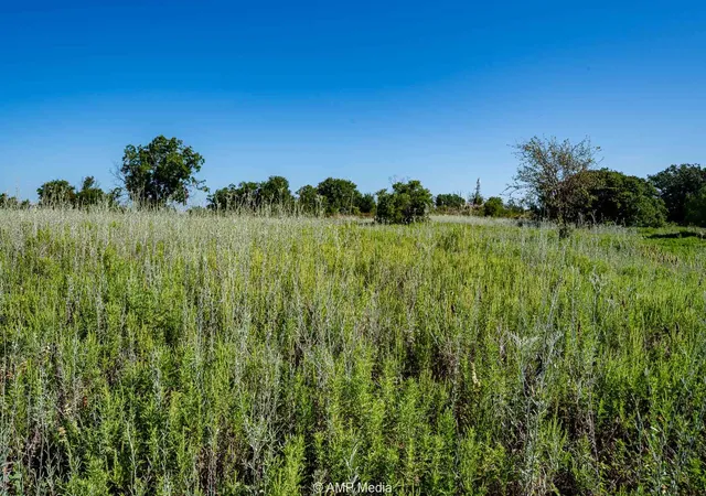 Homes for sale in Rising Star, TX | 2018 Cr 254, Rising Star, TX 76471 | MLS# 21013183