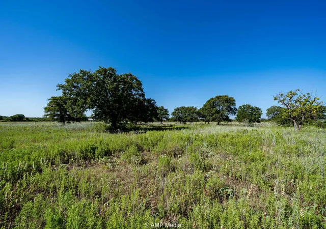 Homes for sale in Rising Star, TX | 2018 Cr 254, Rising Star, TX 76471 | MLS# 21013183