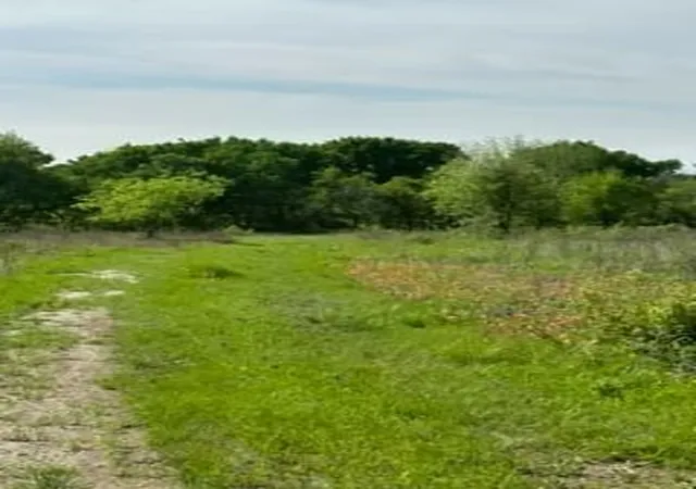 Photo 2 of Land for sale at 35 Longview Creek Trl, Itasca, TX 76055 | MLS# 21014327 | Listing updated on 2026-07-22