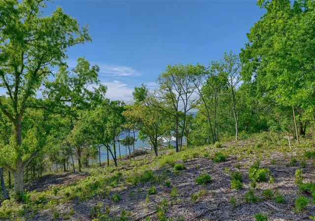 Photo 4 of Land for sale at Lot 1A-2 Thompson Heights Dr, Denison, TX 75020 | MLS# 21015957 | Listing updated on 2026-07-24