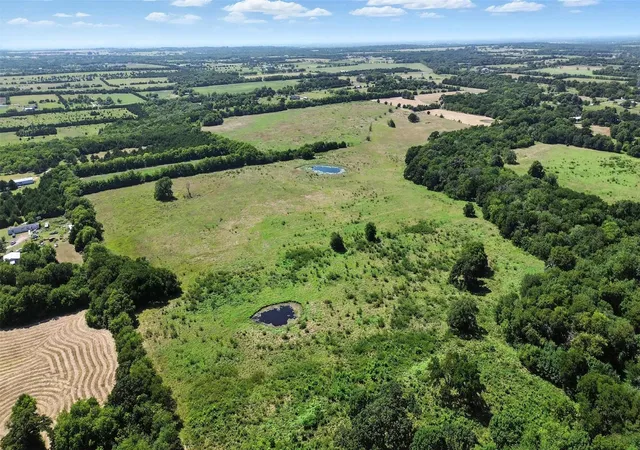 Photo 3 of Land for sale at 138 Acres County Road 1124, Farmersville, TX 75442 | MLS# 21019194 | Listing updated on 2026-07-24