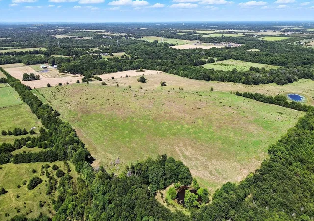 Photo 3 of House for sale at 138 Acres County Road 1124, Farmersville, TX 75442 | MLS# 21019194 | Listing updated on 2026-07-24