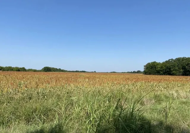 Photo 1 of Land for sale at 450 County Road 16060, Deport, TX 75435 | MLS# 21025060 | Listing updated on 2026-07-23