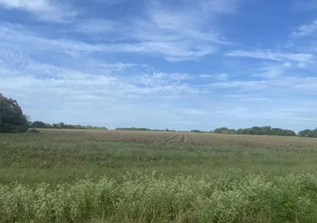 Photo 2 of Land for sale at 450 County Road 16060, Deport, TX 75435 | MLS# 21025060 | Listing updated on 2026-07-23