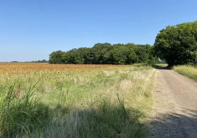 Photo 3 of Land for sale at 450 County Road 16060, Deport, TX 75435 | MLS# 21025060 | Listing updated on 2026-07-23