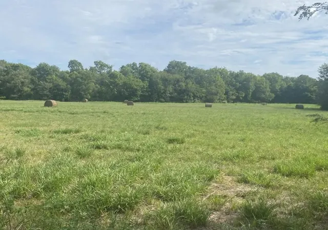 Photo 2 of Land for sale at 529 County Road 16060, Deport, TX 75435 | MLS# 21025064 | Listing updated on 2026-07-23