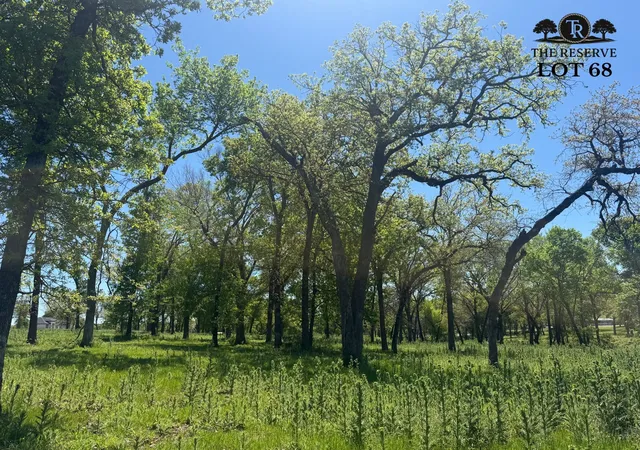 Photo 3 of Land for sale at Lot 68 Camden Ln, Springtown, TX 76082 | MLS# 21024123 | Listing updated on 2026-08-05