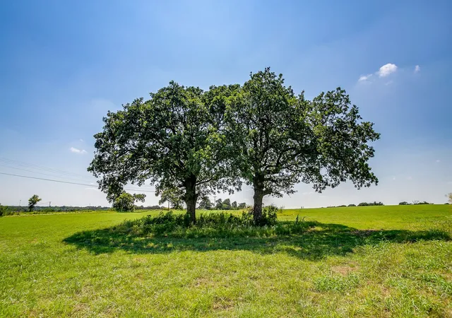 Photo 3 of Land for sale at 601 Cr 805, Cleburne, TX | MLS# 21021791 | Listing updated on 2026-08-26