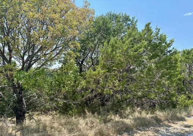 Homes for sale in Possum Kingdom Lake, TX | Lot 246 Broadmoor Ct, Possum Kingdom Lake, TX 76449 | MLS# 21027888