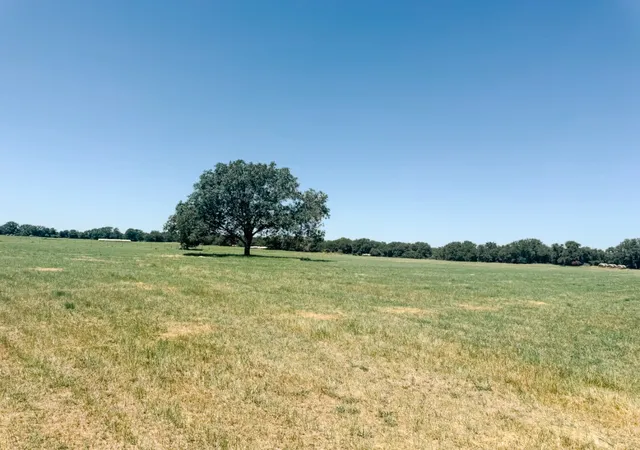 Homes for sale in Rising Star, TX | 13610 Hwy 183, Rising Star, TX 76471 | MLS# 21028044