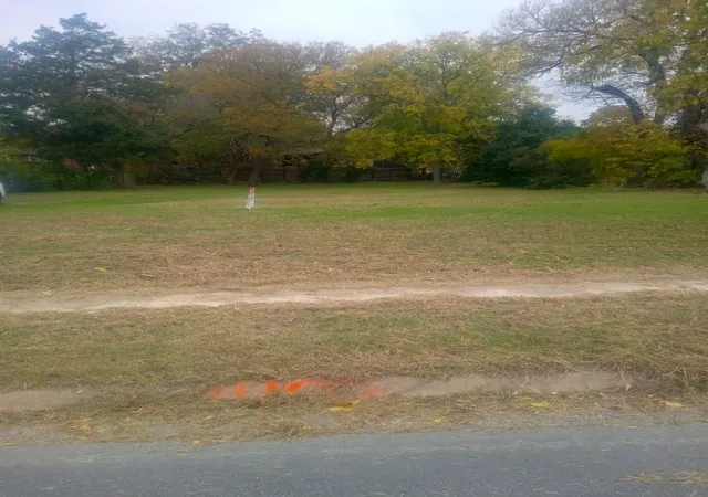 Photo 1 of Land for sale at 4103 S Marsalis Ave, Dallas, TX 75216 | MLS# 21029416 | Listing updated on 2026-07-27