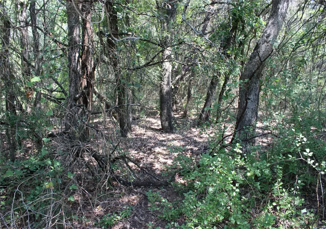 Photo 3 of Land for sale at 24042 Stonewood Dr, Whitney, TX 76692 | MLS# 21030400 | Listing updated on 2026-08-31
