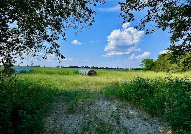 Photo 1 of Land for sale at Tbd 19933ac Tx 11, Bailey, TX 75413 | MLS# 21030483 | Listing updated on 2026-08-04