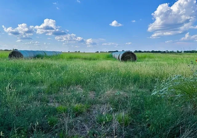 Homes for sale in Bailey, TX | Tbd 19933Ac Tx-11, Bailey, TX 75413 | MLS# 21030483