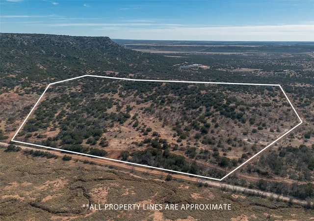 Homes for sale in Winters, TX | T2 County Road 175, Winters, TX 79567 | MLS# 21030855