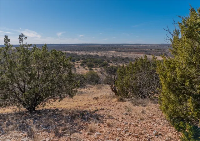 Homes for sale in Winters, TX | T2 County Road 175, Winters, TX 79567 | MLS# 21030855
