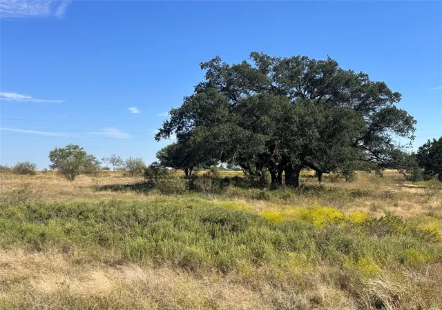 Homes for sale in Energy, TX | Tbd Lot 24 Mystic Mountain Dr, Energy, TX 76452 | MLS# 21033122