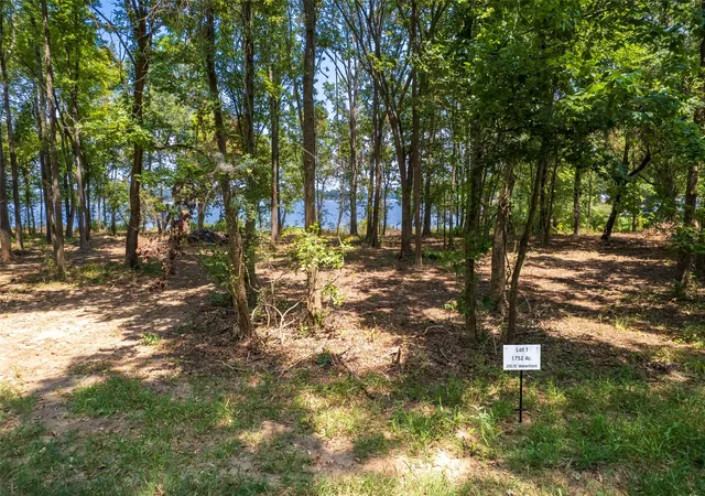 1st image of Tbd Pr 52447, Leesburg, TX 75451 | MLS# 21033662