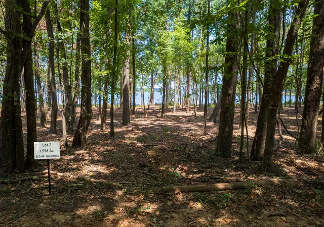 1st image of Tbd Pvt Rd 52447, Leesburg, TX 75451 | MLS# 21033685