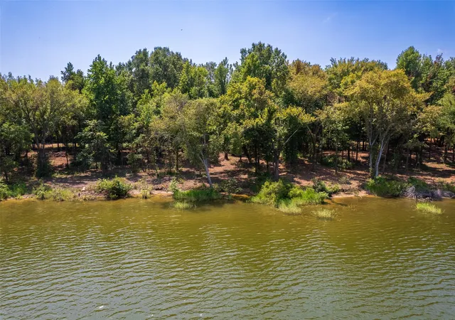 10th image of Tbd Pr52447, Leesburg, TX 75451 | MLS# 21033730