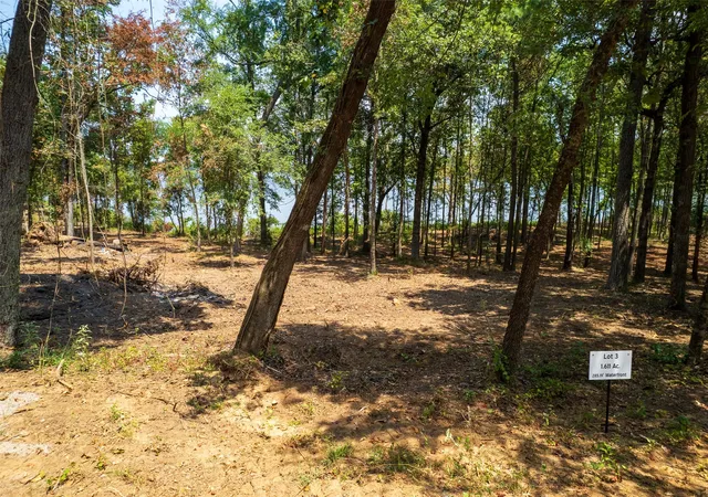 1st image of Tbd Pr52447, Leesburg, TX 75451 | MLS# 21033730
