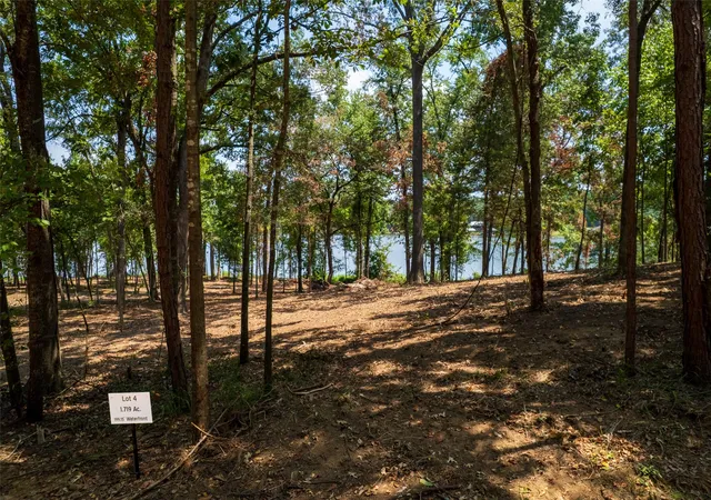 Photo 1 of Land for sale at Tbd Pr 52447, Leesburg, TX 75451 | MLS# 21033758 | Listing updated on 2026-08-04