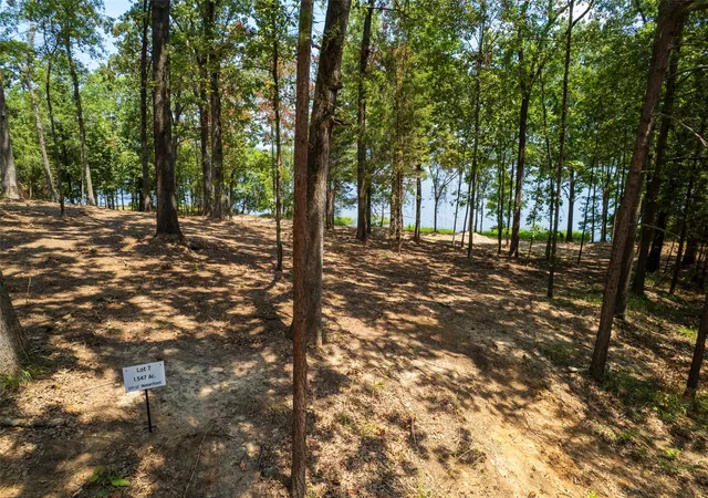 1st image of Tbd Pr Rd52447, Leesburg, TX 75451 | MLS# 21033849