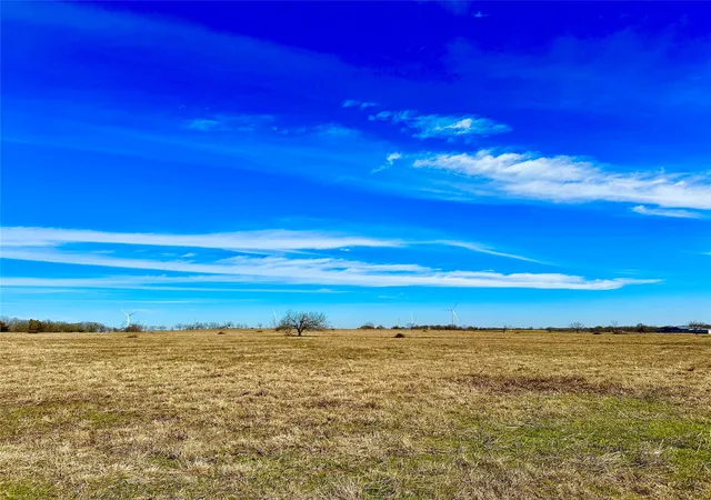Homes for sale in Mount Calm, TX | 10 Ac Tract 8 Lcr 131, Mount Calm, TX 76673 | MLS# 21034496