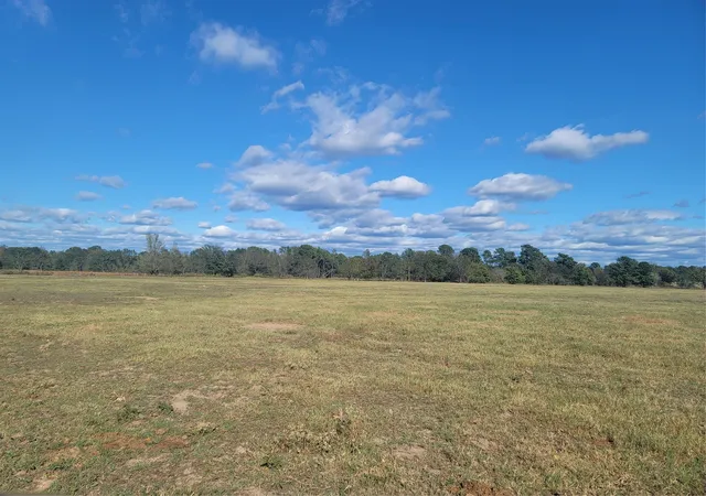 Photo 3 of House for sale at 12403 Fm 1975, Gilmer, TX 75644 | MLS# 21028408 | Listing updated on 2026-08-15