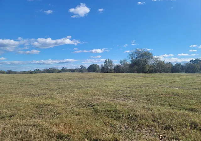 Photo 3 of Land for sale at 12403 Fm 1975 #Parcel I, Gilmer, TX 75644 | MLS# 21034698 | Listing updated on 2026-08-15