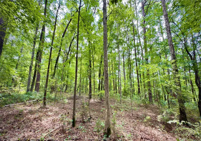 Photo 3 of Sale Pending at 0 Winn School Rd, Hosston, LA 71043 | MLS# 21035701 | Listing updated on 2026-07-15