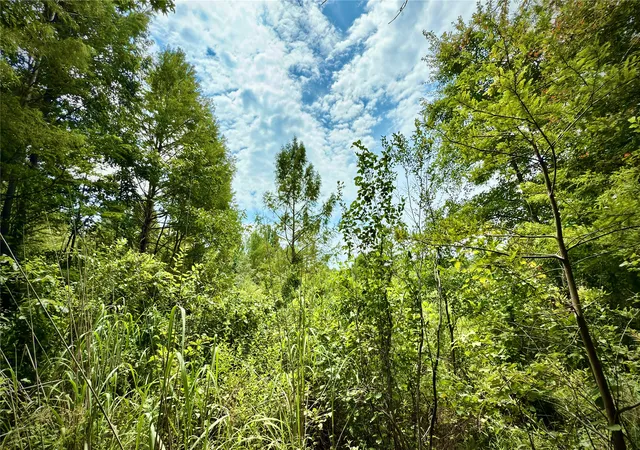 Photo 3 of Sale Pending at 0 Winn School Rd, Hosston, LA 71043 | MLS# 21035701 | Listing updated on 2026-07-15