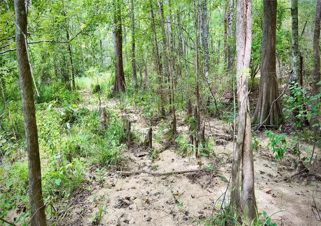 Photo 4 of Sale Pending at 0 Winn School Rd, Hosston, LA 71043 | MLS# 21035701 | Listing updated on 2026-07-15