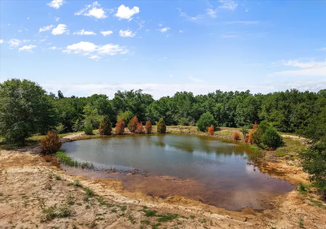 Homes for sale in Teague, TX | Tbd County Road 661, Teague, TX 75860 | MLS# 21034975