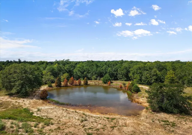 Homes for sale in Teague, TX | Tbd County Road 661, Teague, TX 75860 | MLS# 21034975