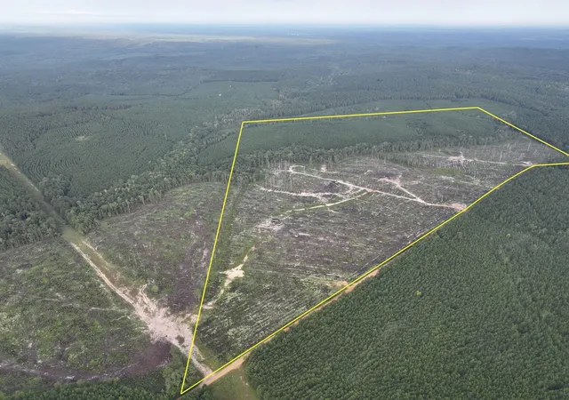 Photo 1 of Land for sale at 1 Red Rock Road, Robeline, LA 71469 | MLS# 21035672 | Listing updated on 2026-08-05