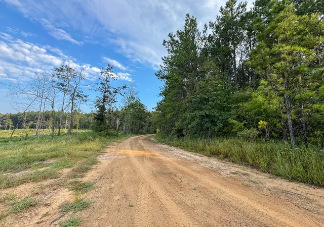 Photo 4 of Land for sale at 1 Red Rock Road, Robeline, LA 71469 | MLS# 21035672 | Listing updated on 2026-08-05