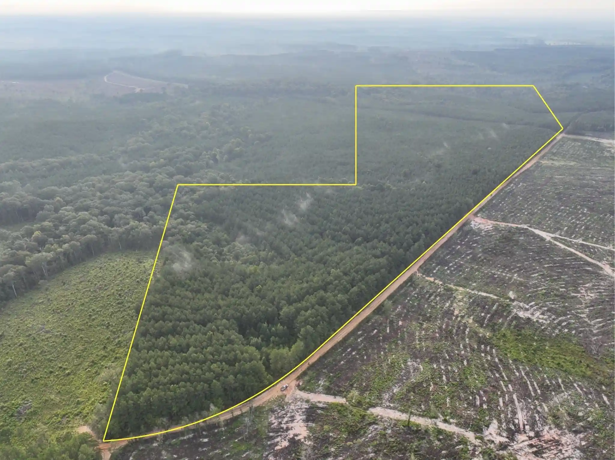 Photo 1 of Land for sale at 2 Red Rock Road, Robeline, LA 71469 | MLS# 21036233 | Listing updated on 2025-08-19