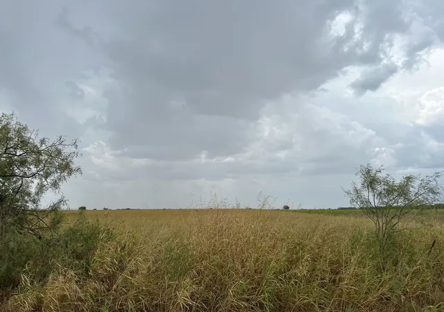 Homes for sale in Clyde, TX | 5805 County Road 223, Clyde, TX 79510 | MLS# 21036064