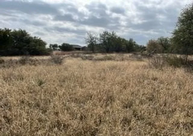 Homes for sale in Brownwood, TX | Lot 234 Feather Bay Dr, Brownwood, TX 76801 | MLS# 21036607