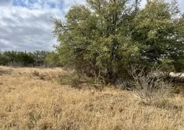 Homes for sale in Brownwood, TX | Lot 234 Feather Bay Dr, Brownwood, TX 76801 | MLS# 21036607