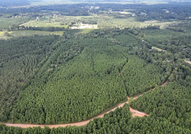 Photo 1 of Land for sale at T 1 Provencal Vowell Mills Rd, Provencal, LA 71468 | MLS# 21036755 | Listing updated on 2026-08-05